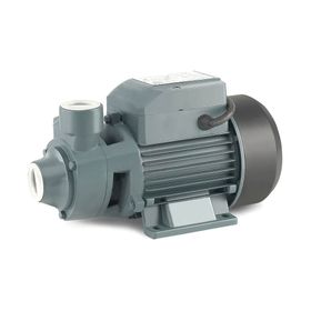 Rainpump QB60 Santrifuj Pompa