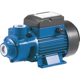 Rainpump QB70 Santrifuj Pompa