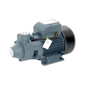 Rainpump QB70 Santrifuj Pompa