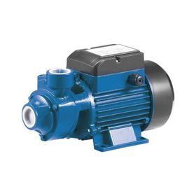 Rainpump QB70 Santrifuj Pompa