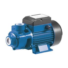 Rainpump QB70 Santrifuj Pompa