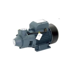 Rainpump QB80 Santrifuj Pompa