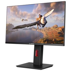 Rampage Rage RG24R165 24 inç 165Hz 1ms Oyuncu Monitörü