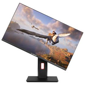 Rampage Rage RG24R165 24 inç 165Hz 1ms Oyuncu Monitörü