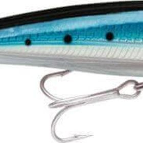 Rapala 120BSRD Saltwater X-Rap 120 mm Sahte Balık