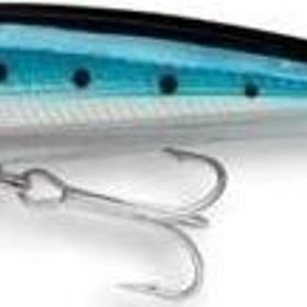 Rapala 120BSRD Saltwater X-Rap 120 mm Sahte Balık
