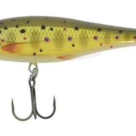 Rapala BX Minnow 100 mm TR Sahte Balık