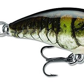 Rapala Mini Fat Rap Sahte Balığı