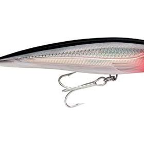 Rapala Salt Water X Rap S 12 cm Suni Yem