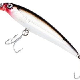 Rapala Salt Water X Rap S 12 cm Suni Yem