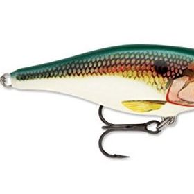 Rapala Scatter Rap Shad Sahte Balığı, 50 mm, Sd