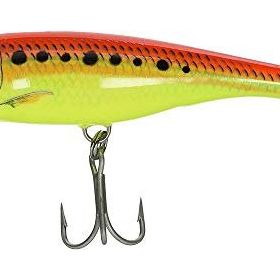 Rapala Skitter MU 120 mm Pop Saltwater Sahte Balık