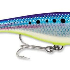 Rapala SSP12BC Skitter Pop Saltwater Sahte Balığı, 120 mm, Bc