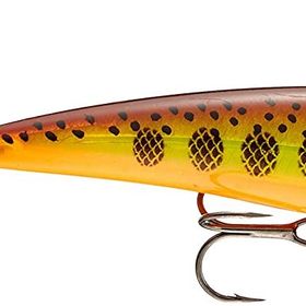 Rapala X-rap Xr 100 mm Olta Yemi