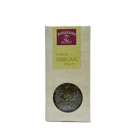 Rasayana 100 gr Organik Isırgan Tohumu