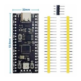 Raspberry Pi RP2040 Çip