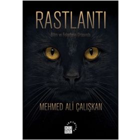Rastlantı - Hasan Tekin Özel