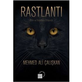 Rastlantı - Hasan Tekin Özel