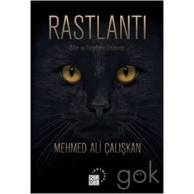 Rastlantı - Mehmed Ali Çalışkan