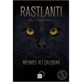 Rastlantı - Mehmed Ali Çalışkan