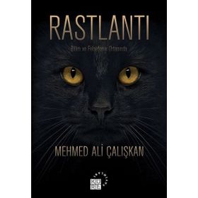 Rastlantı - Mehmet Ali Çalışkan