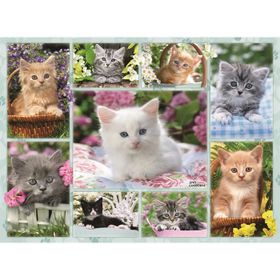 Ravensburger 141968 Sepette Kedi 500 Parça Yetişkin Puzzle