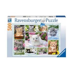 Ravensburger 141968 Sepette Kedi 500 Parça Yetişkin Puzzle