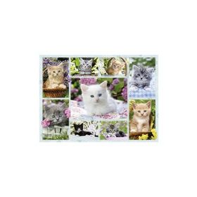 Ravensburger 141968 Sepette Kedi 500 Parça Yetişkin Puzzle