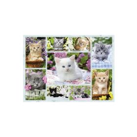 Ravensburger 141968 Sepette Kedi 500 Parça Yetişkin Puzzle