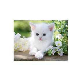 Ravensburger 162437 Beyaz Kedi 1500 Parça Puzzle