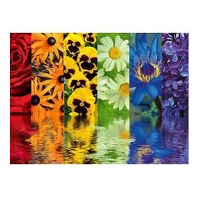 Ravensburger 164462 500 Parça Çiçek Yansıma Puzzle
