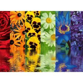 Ravensburger 164462 500 Parça Çiçek Yansıma Puzzle
