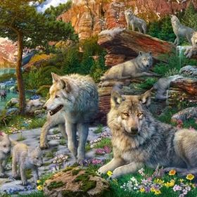 Ravensburger 165988 Kurtlar Yetişkin 1500 Parça Puzzle
