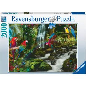 Ravensburger 171118 2000 Parça Renkli Papağanlar Puzzle