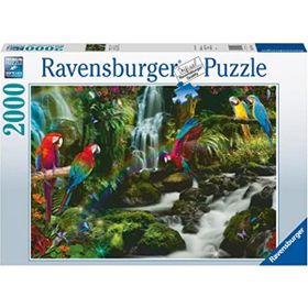 Ravensburger 171118 Renkli Papağanlar 2000 Parçalı Puzzle