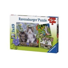 Ravensburger 3x49 Parça Kedi Yavruları Puzzle