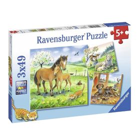 Ravensburger 80298 3x49 Parça Kucaklaşma Çocuk Puzzle