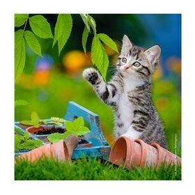 Ravensburger 80465 Tiger Babies 3x49 Parça Puzzle