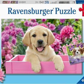 Ravensburger Friends 2x24 Puzzle