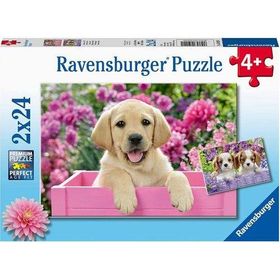 Ravensburger Friends 2x24 Puzzle