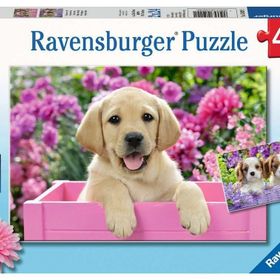 Ravensburger Friends 2x24 Puzzle