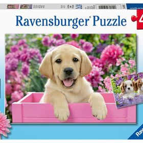 Ravensburger Friends 2x24 Puzzle