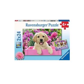 Ravensburger RPK050291 Friends 2x24 Parça Puzzle