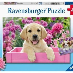 Ravensburger RPK050291 Friends 2x24 Parça Puzzle