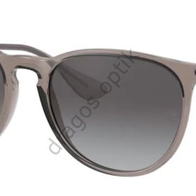 RAY-BAN 0RB4171 65138G 54 Unisex Güneş Gözlüğü