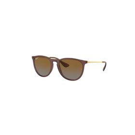Ray-Ban 0RB4171 6593T5 54 Unisex Güneş Gözlüğü