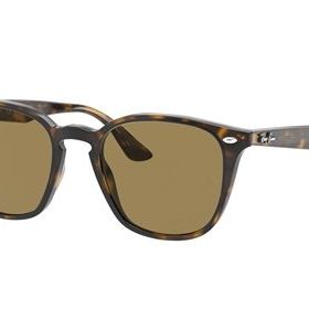 Ray-Ban 0RB4258 710/73 50 Unisex Güneş Gözlüğü