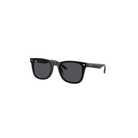 Ray-Ban 0RB4420 601 87 65x18x145 Erkek Güneş Gözlüğü