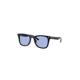 Ray-Ban 0RB4420 601/80 65 Unisex Güneş Gözlüğü