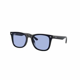 Ray-Ban 0RB4420 601/80 65 Unisex Güneş Gözlüğü